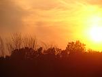 The World is on Fire