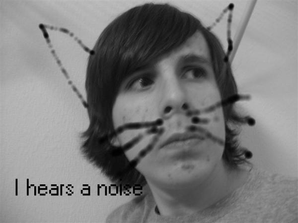 My Lolcat
(Made at the request of toni)