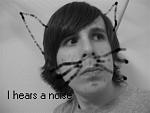 My Lolcat 
(Made at the request of toni)