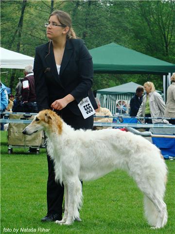 Bagi at slovenian national show in Maribor 19-04-09