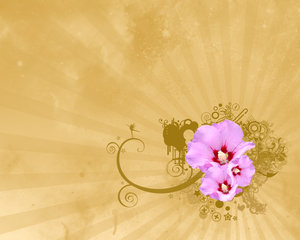 Flowers by m a t h e s