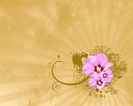 Flowers by m a t h e s