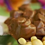 4604 milk chocolate aloha rocky road 170x170