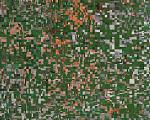 Fargo 5 km per inch -- a pointless pointillism -- a satellite image of the counties north of Fargo North Dakota.  This image recurs in my life, I...