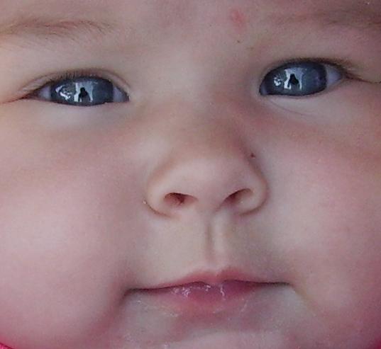 izzy eyes -- look out world
