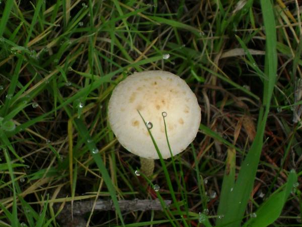 DSC02108