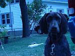 i is sewious, you WILL play wit me