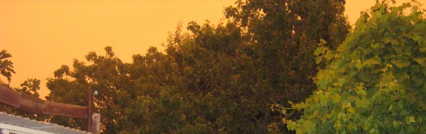 Orange Sky.

Not photoshopped, rare for me.
Seriously the sky was like this on New Year's Day.
