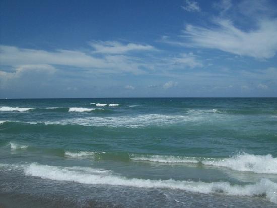 beautiful ocean waves