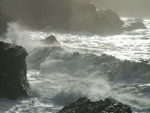 Ocean Waves