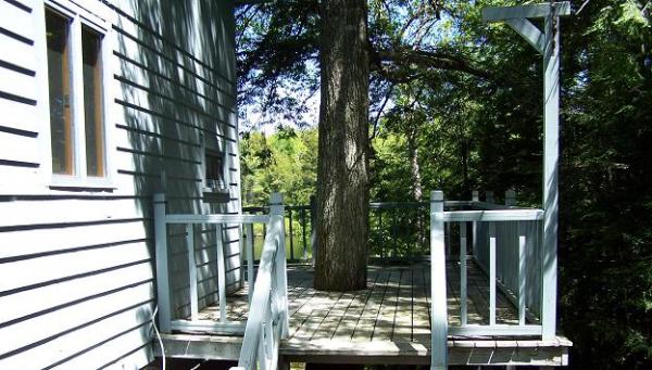 wraparound deck -- isn't this cool? My dad didn't have the heart to cut down this mighty old hemlock, so, we decked around it! Our house on the lake.
GREAT REDNECK IDEA: saw the tree off flat about 3 feet up and drill holes for a cribbage board! Timberrr!
