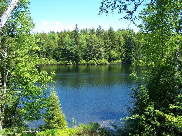 Can you believe this is the view we have from the deck at our summer place? Lucky, Lucky us!