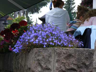 2008 07190015
