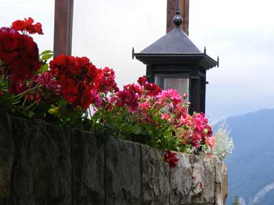 2008 07190017