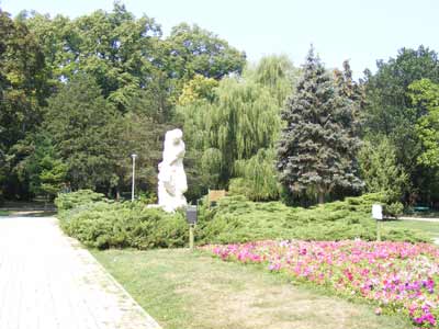 2008 08060044