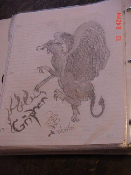 drawinh griffin