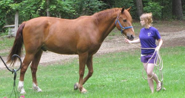 my big red pony..