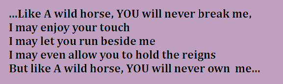 wild horse