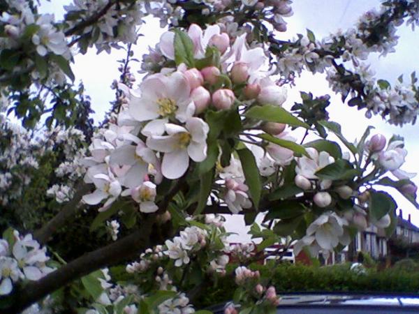 Photo ne