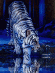 To Maximilianus, for letting me steal this one for my personal use. I wonder if you knew I loved tigers? I'm sorry I couldn't make this one yours,...