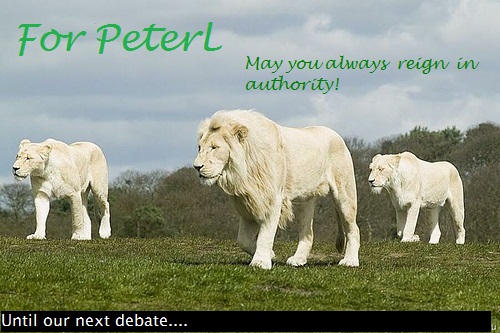 For PeterL. I saw this picture and I thought you would like these white lions. So I left a little message and dedicated this picture to you. :D