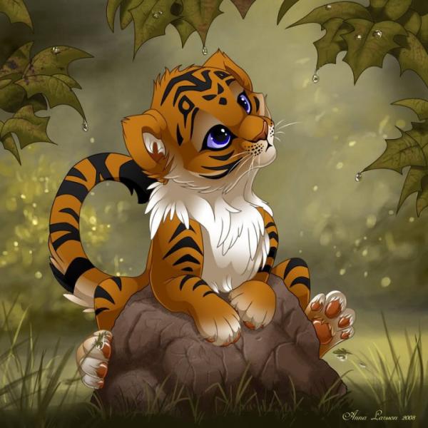 tigerkit