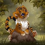 tigerkit