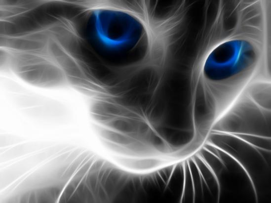 ghost cat