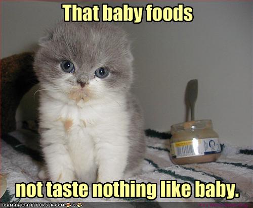 kitten is disappointed with baby food