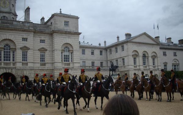 horse parade