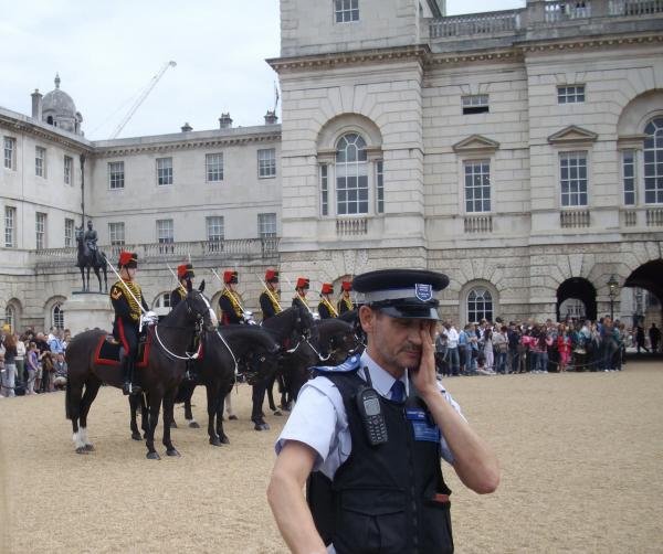 horse parade