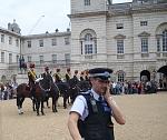 horse parade
