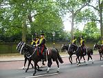 birdcage walk horse