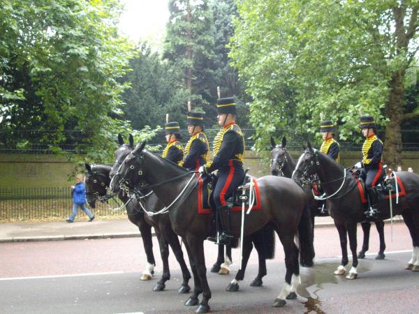 birdcage walk horse1
