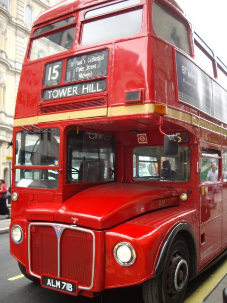 bus number 15