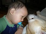 little boy and his dog