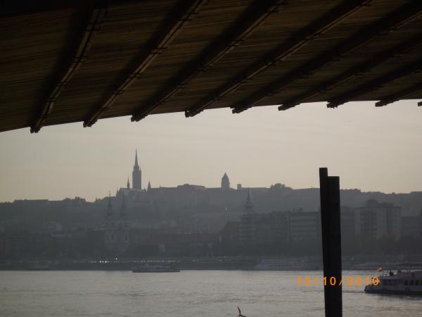 IMGP8588