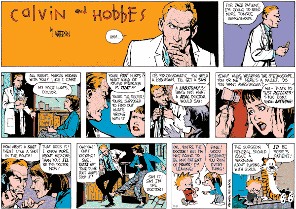 calvin and hobbes 1