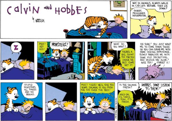 calvin and hobbes 2