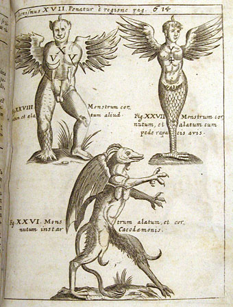 Physica Curiosa 1