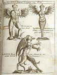 Physica Curiosa 1