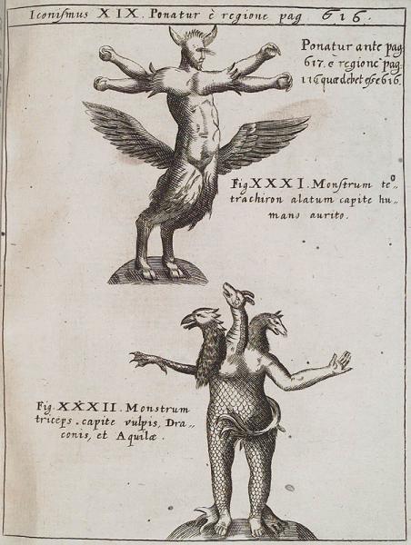 Physica Curiosa 2