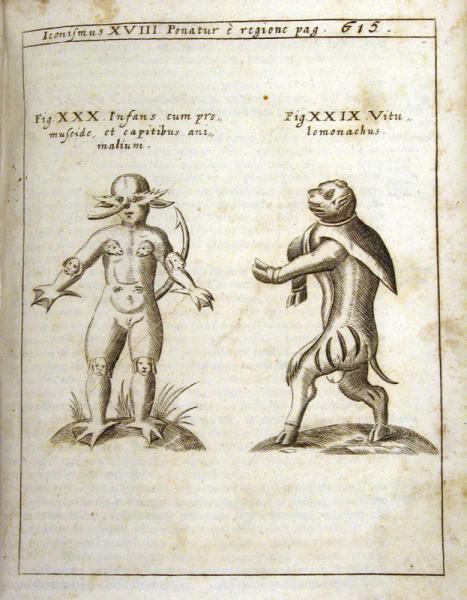 Physica Curiosa 4