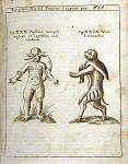 Physica Curiosa 4