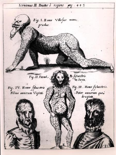 Physica Curiosa 5