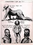 Physica Curiosa 5