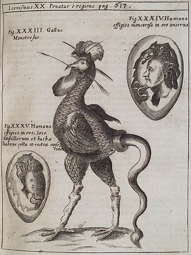 Physica Curiosa 6