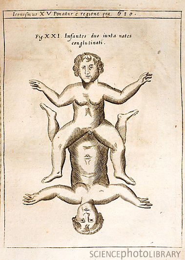 Physica Curiosa 8
