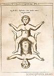 Physica Curiosa 8