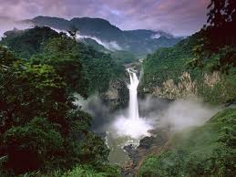 yasuni national park